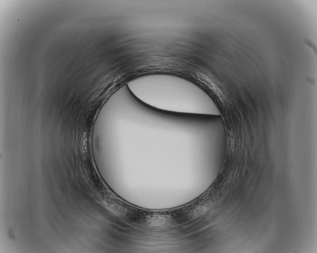 X0000097290549200802151101