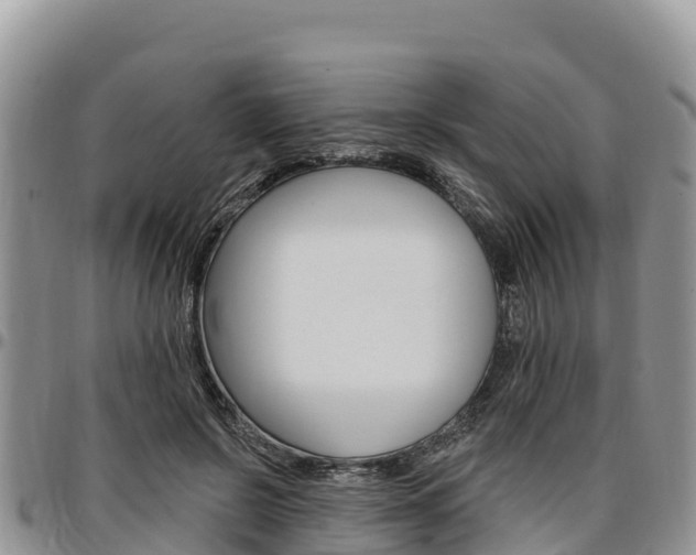 X0000097290550200802151101