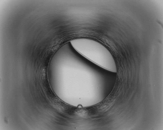 X0000097290551200802151101