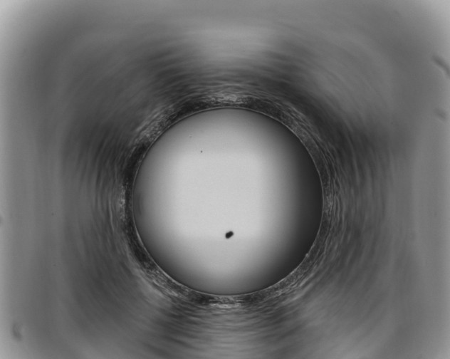X0000097290552200802151101