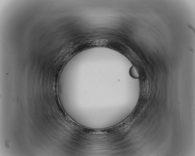 X0000097290553200802151101