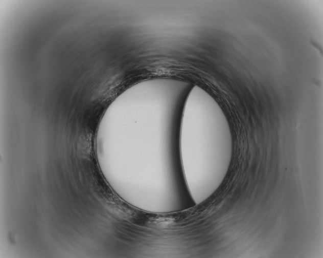 X0000097290554200802151101