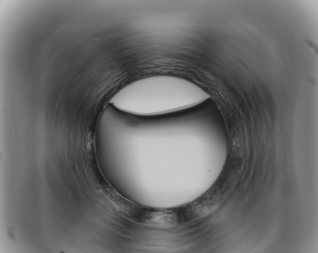 X0000097290555200802151101
