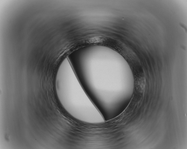 X0000097290556200802151101