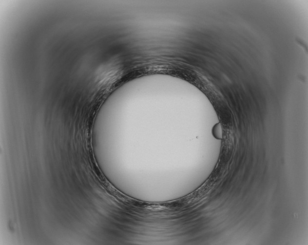 X0000097290557200802151101