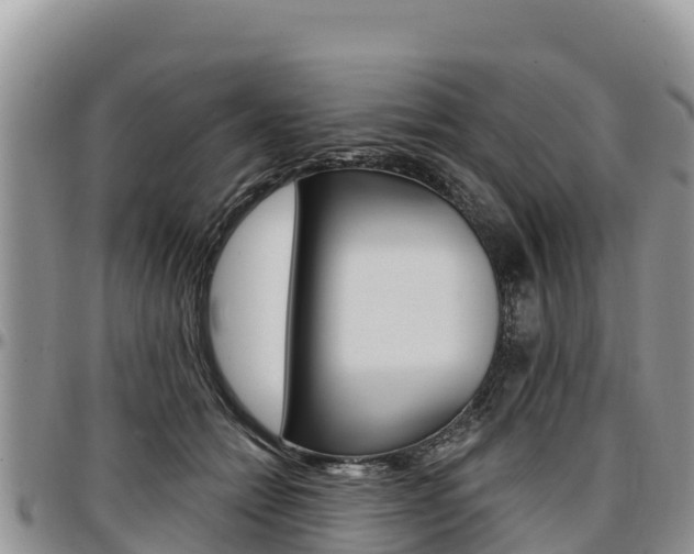 X0000097290558200802151101