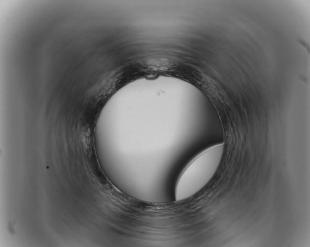 X0000097290559200802151101