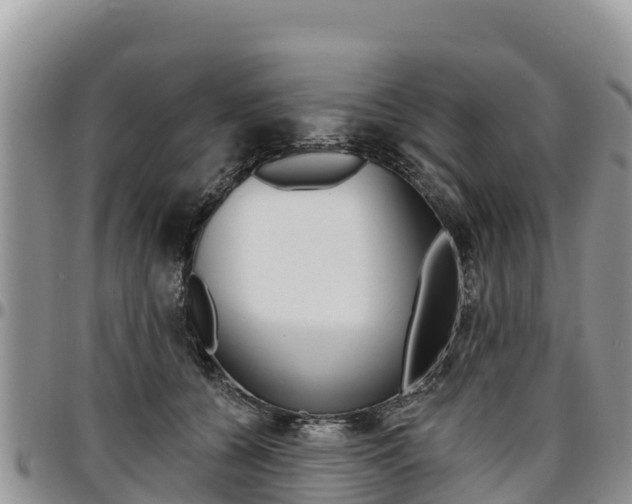 X0000097290560200802151101