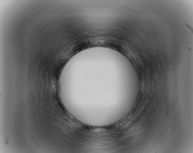 X0000097290561200802151101