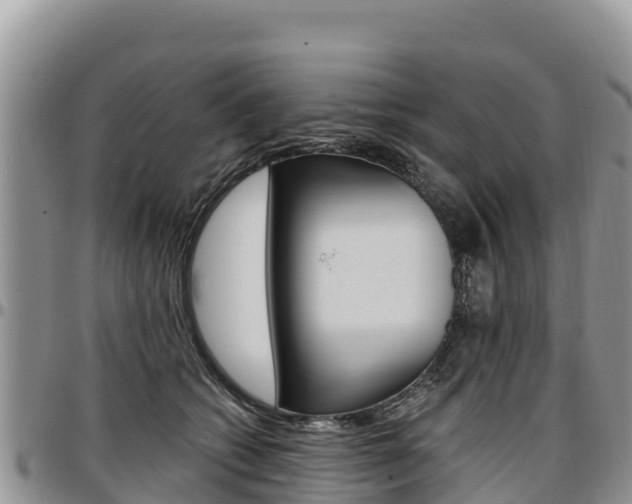 X0000097290562200802151101