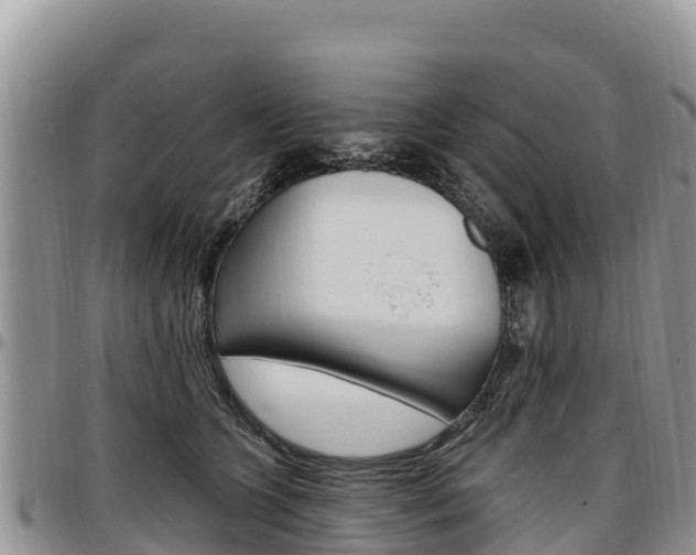 X0000097290563200802151101