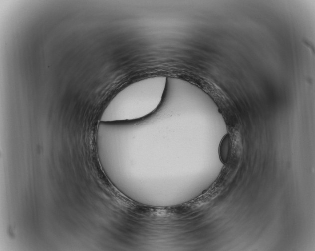 X0000097290565200802151101