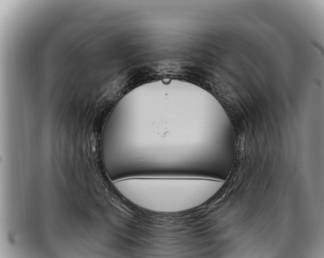 X0000097290567200802151101