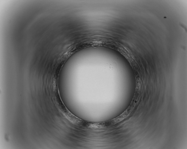 X0000097290568200802151101