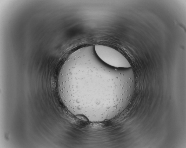 X0000097290569200802151101