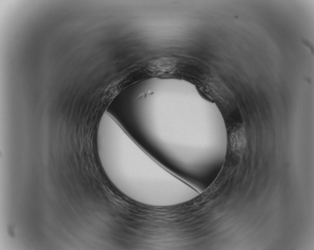 X0000097290570200802151101