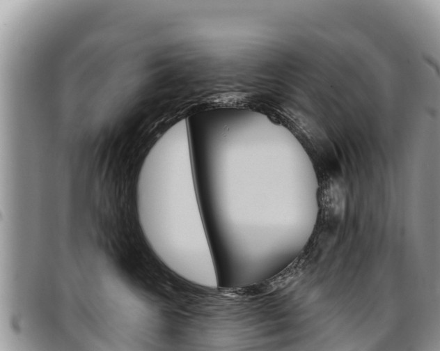 X0000097290572200802151101