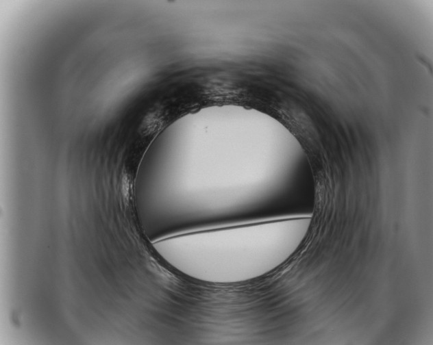 X0000097290574200802151101