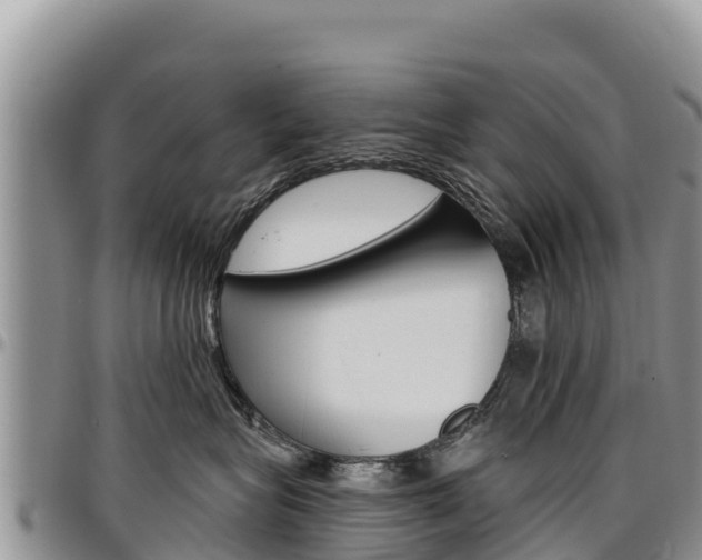 X0000097290575200802151101