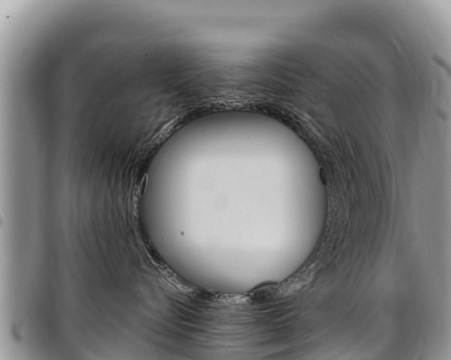 X0000097290576200802151101