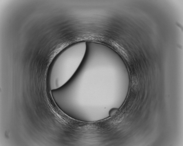 X0000097290578200802151100