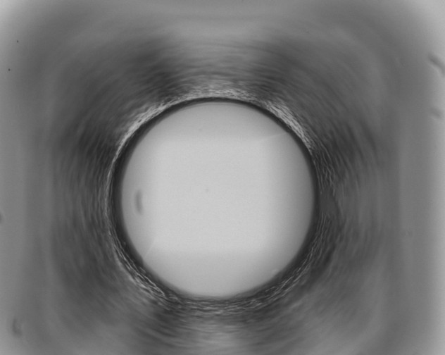 X0000097290579200802151100