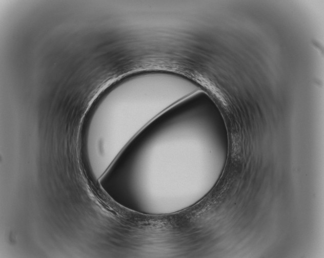 X0000097290580200802151100