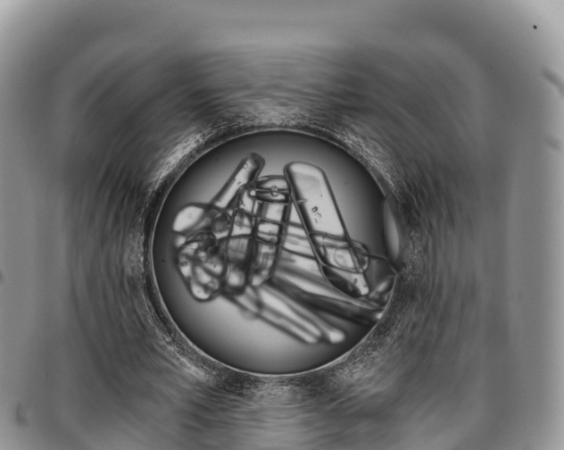 X0000097290581200802151100