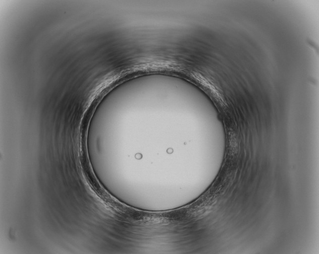 X0000097290582200802151100