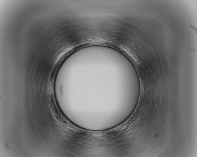 X0000097290583200802151100