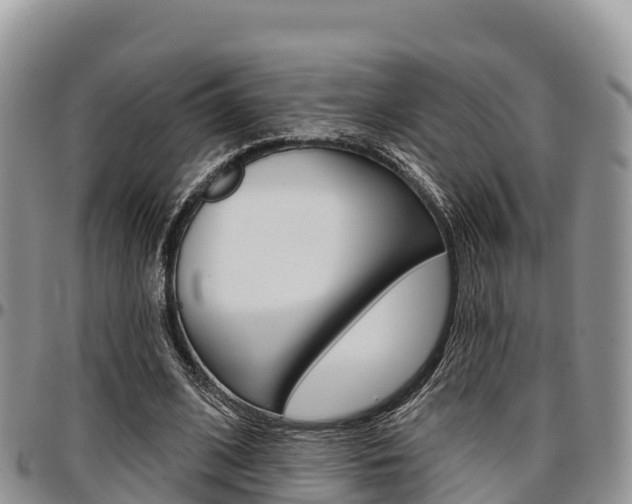 X0000097290584200802151100