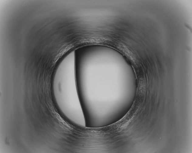 X0000097290585200802151100
