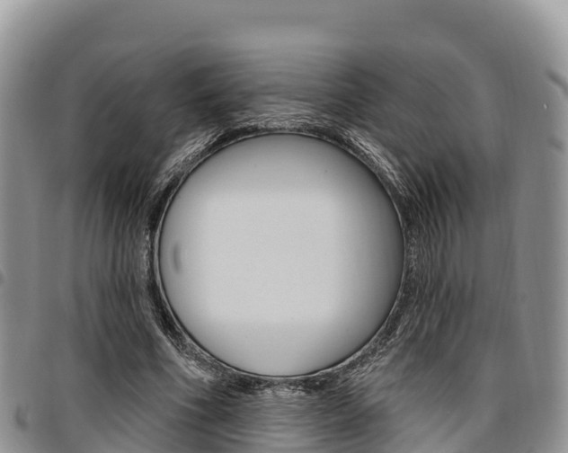 X0000097290586200802151100