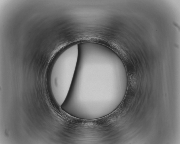 X0000097290587200802151100