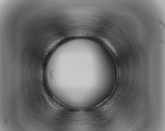 X0000097290588200802151100