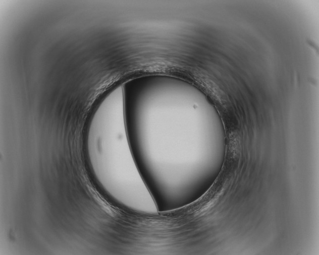 X0000097290589200802151100