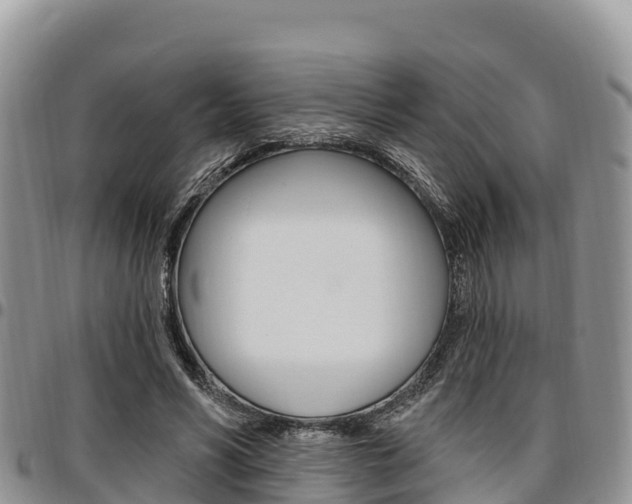 X0000097290590200802151100