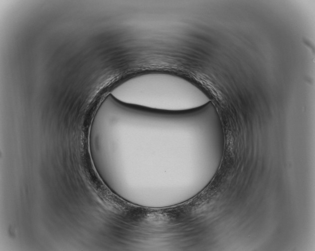 X0000097290591200802151100