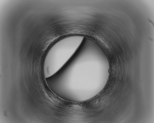 X0000097290592200802151100