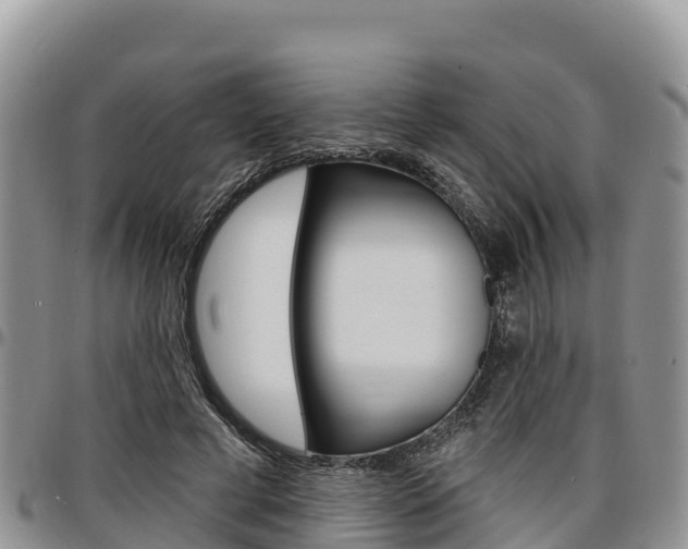 X0000097290593200802151100