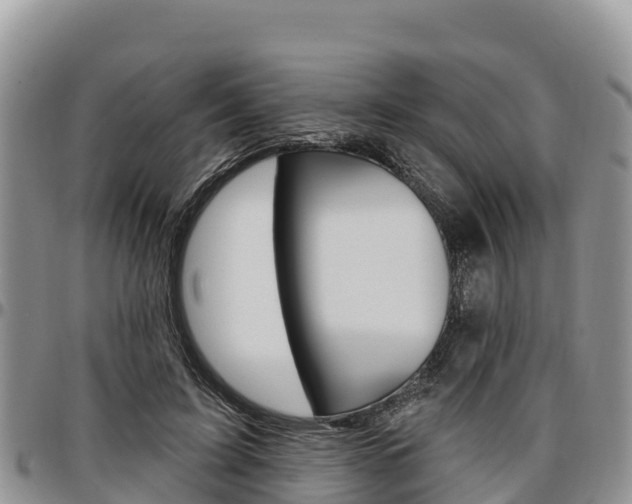 X0000097290595200802151100