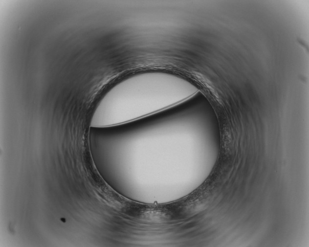 X0000097290596200802151100
