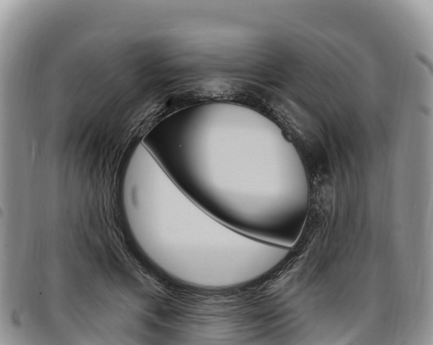 X0000097290597200802151100