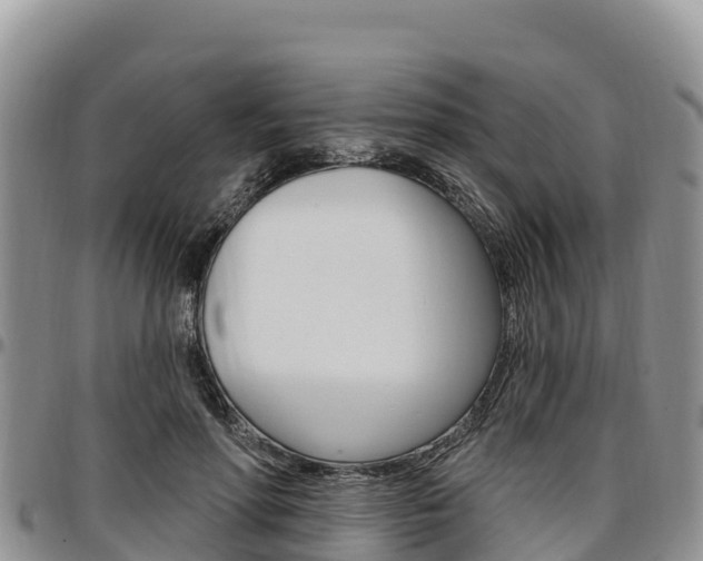 X0000097290598200802151100