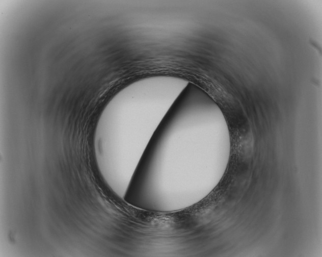 X0000097290599200802151100