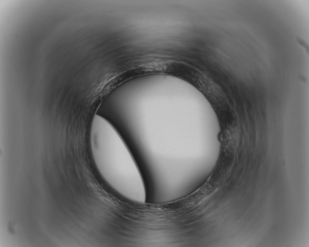 X0000097290600200802151100