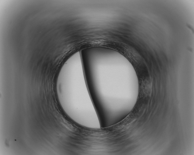 X0000097290601200802151100