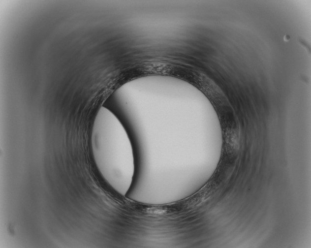 X0000097290602200802151100