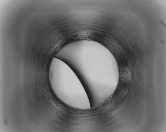 X0000097290603200802151100