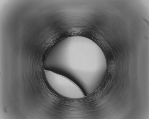 X0000097290604200802151100